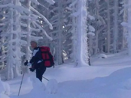 Brueggler 3*